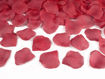 Picture of CONFETTI CANNON WITH ROSE PETALS DEEP RED 60CM